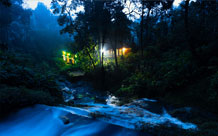 Hotel Management Group