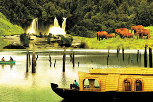 Hospitality Management Company